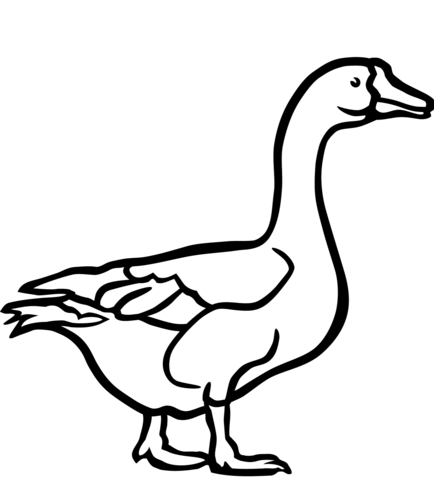 Walking Goose Coloring Page